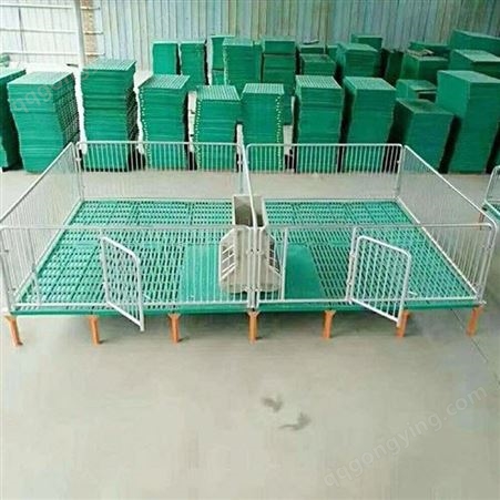 猪用产保一体床 小猪塑料保育床 加工 生产 欧式保育床