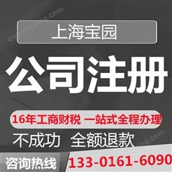 浦东新区开公司地址 注册公司咨询-上海宝园