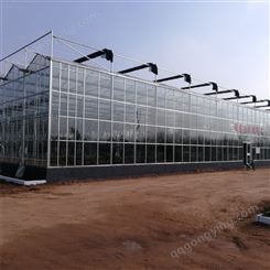 智能玻璃温室V96 蔬菜农业种植 保温节能透光率好 鑫利丰