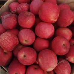 红富士苹果 冷库苹果出库带箱装70以上条纹货 全国物流发货