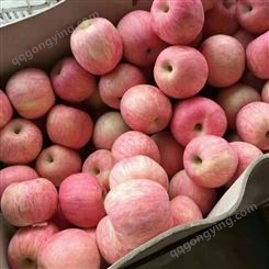 山东红富士苹果 新鲜应当季水果酸甜可口 5斤整箱包装