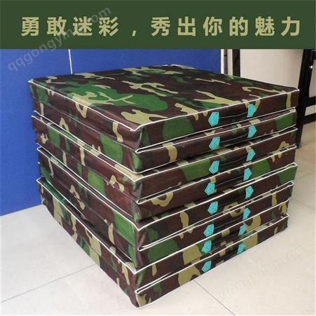 西藏 地垫加工现货供应可定做 盛太塑胶厂家批发地毯式地垫