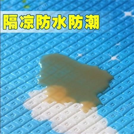西藏 地垫加工现货供应可定做 盛太塑胶厂家批发浴室防滑地垫