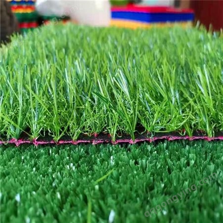 按需生产 人造仿真植物墙草坪 幼儿园草坪 人造草坪 行业经验丰富
