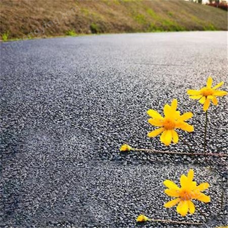 星冠/AB陶瓷颗粒路面工程适用于各种彩色化道路铺装