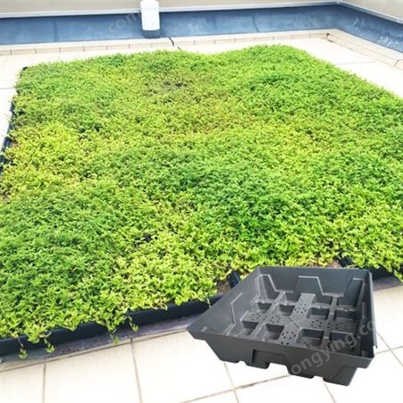 颐合屋顶容器式绿化花盆 楼顶种植盒隔热模块可蓄水多规格定制