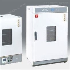 天津泰斯特电热鼓风干燥箱 WGL-125B 现货供应 干燥箱价格 泰斯*格