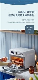 东菱 空气炸烤箱 DL-5712 电子式18L电烤箱空气炸锅 东菱总代理商