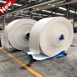 白色橡胶输送带 广泛应用于化工行业物料传送 耐酸碱耐寒
