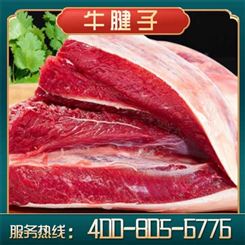 嘉汇荣 新鲜牛肉厂家出售 牛肉批发点