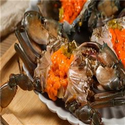缅甸黑蟹厂家 规格多样 缅甸蟹价格