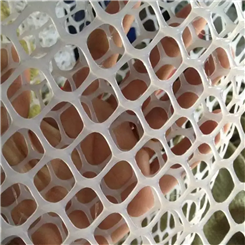 养鹅塑料网 养蜂塑料网 养小鸡育雏网