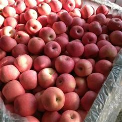仙桃市厂商批发 苹果 红富士苹果 新鲜水果 采购