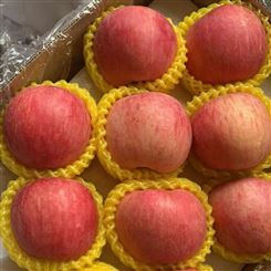 信阳市批发 苹果 红富士苹果 新鲜水果 公司